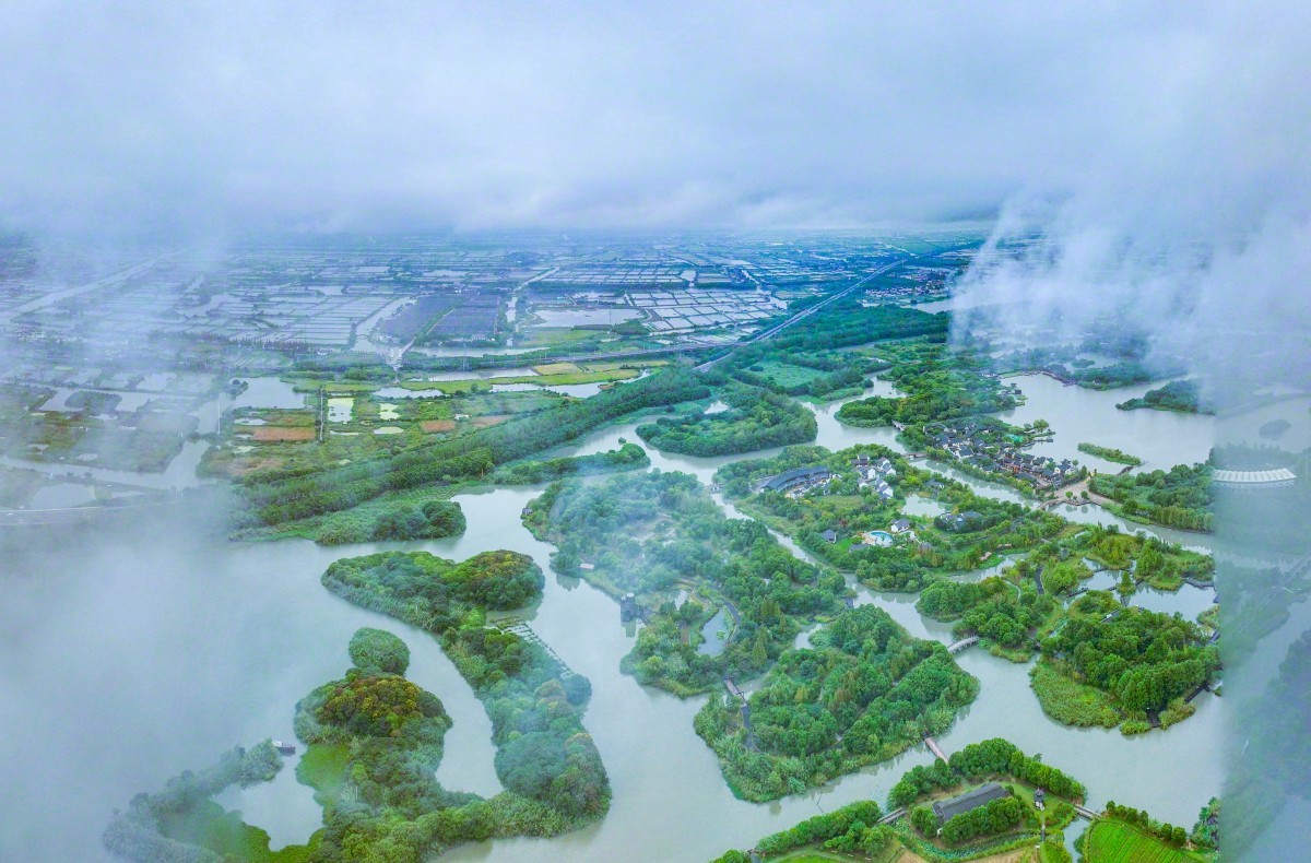 江南伞影·江苏水乡夜色