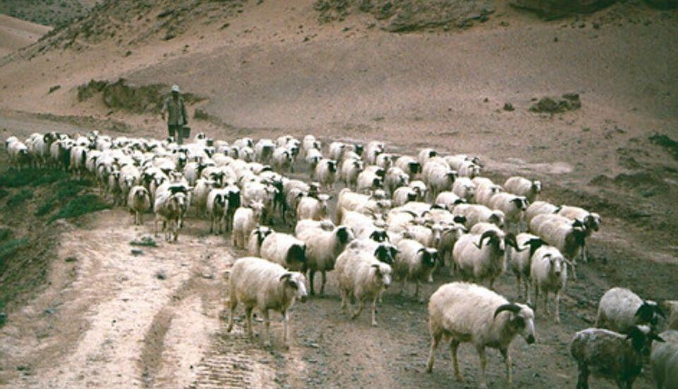 宁夏,致敬各位来宾与朋友们