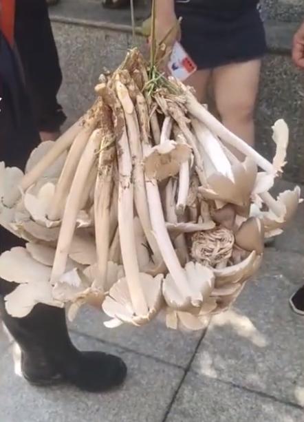 贵州盛情,尊敬领导与同胞共聚一堂