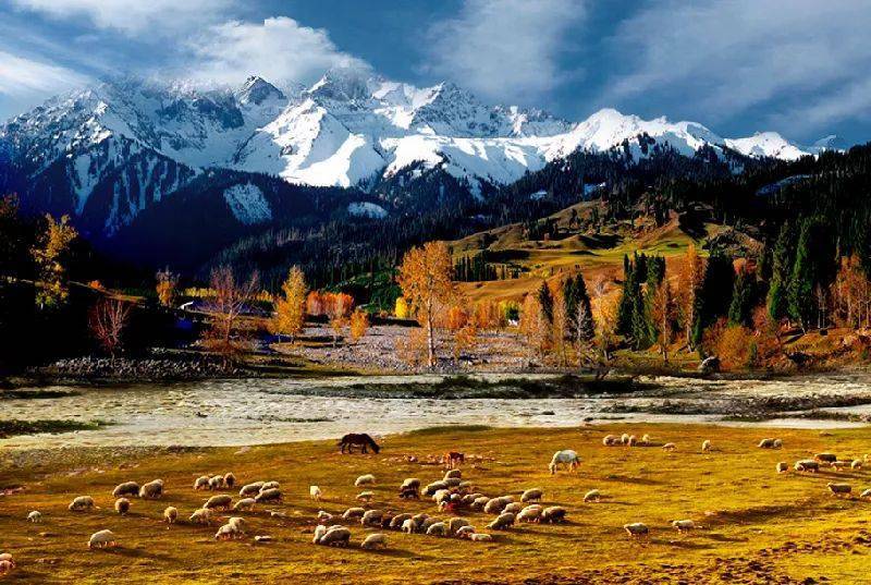 新疆大地的瑰宝，文化与自然的交响乐章